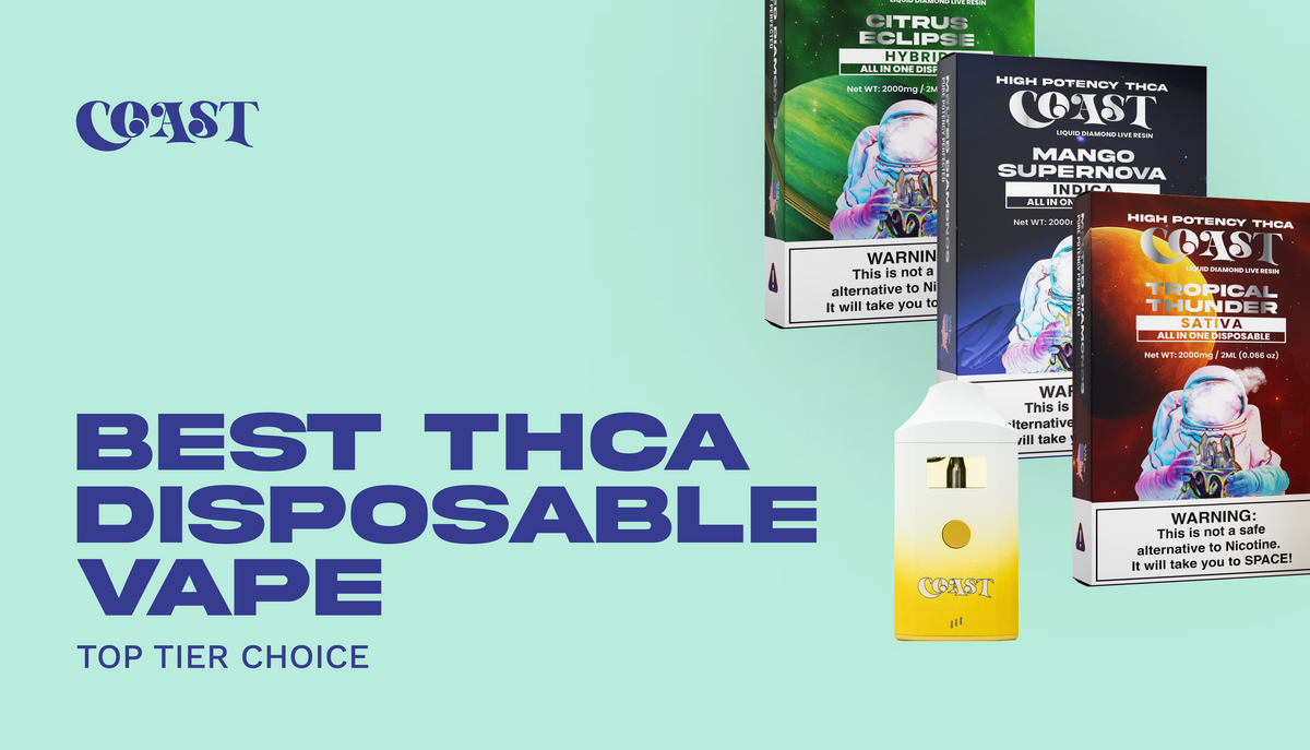 Best THCA Disposable Vape: Top Tier Choice Coast Smokes Best THCA Disposable Vape: Top Tier Choice Coast Smokes
