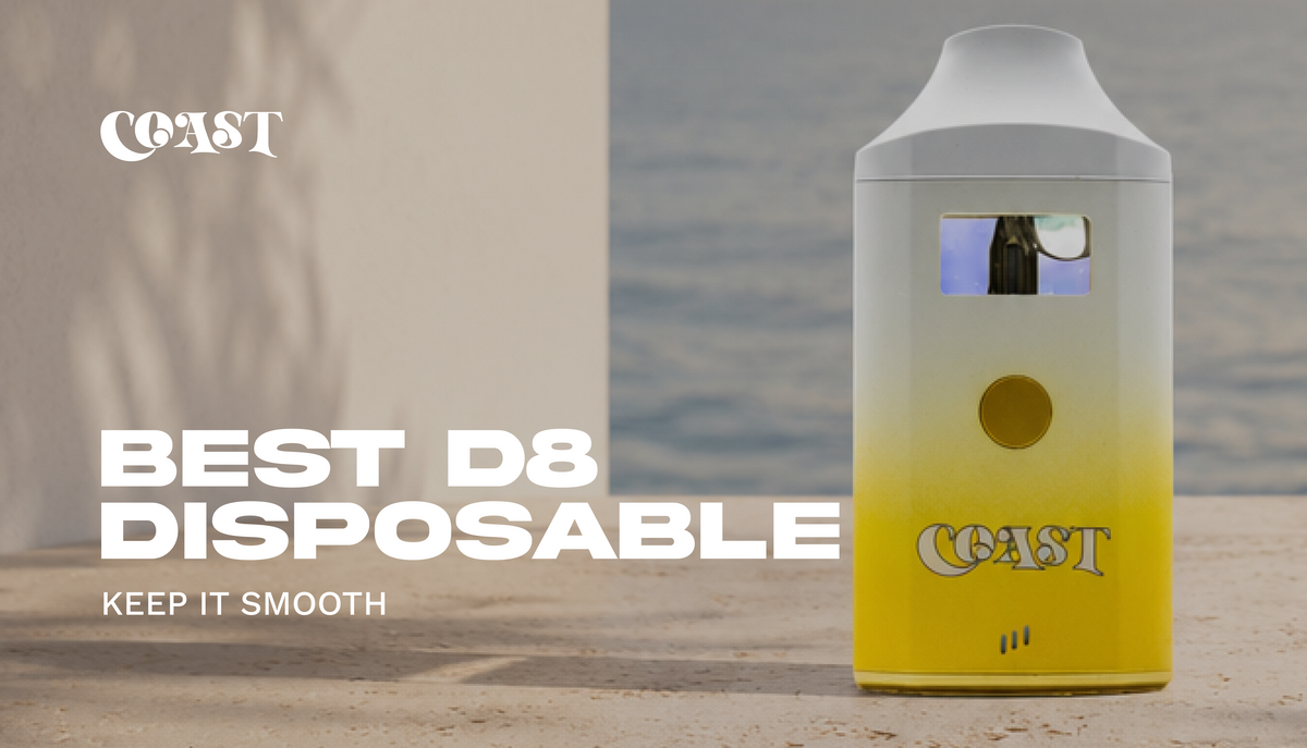 Best D8 Disposable: Keep It Smooth Coast Smokes Best D8 Disposable: Keep It Smooth Coast Smokes