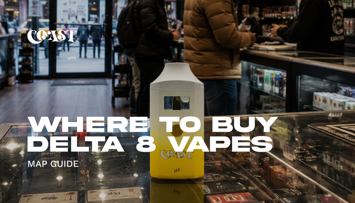 vape ohne tabak Where to Buy Delta 8 Vapes: Map Guide – Coast Smokes
