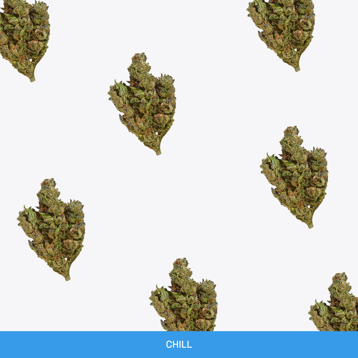 Exotic Indoor THCA Flower Hybrid | California Grown – Coast Smokes