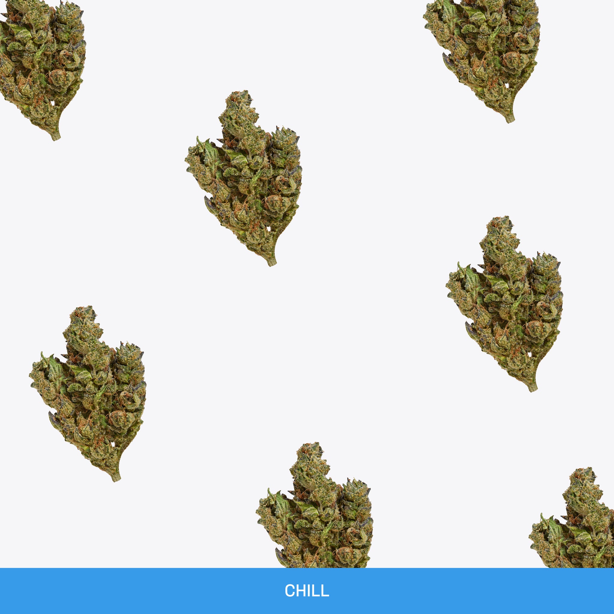 Coast Indoor-Grown THCA Flower - Hybrid