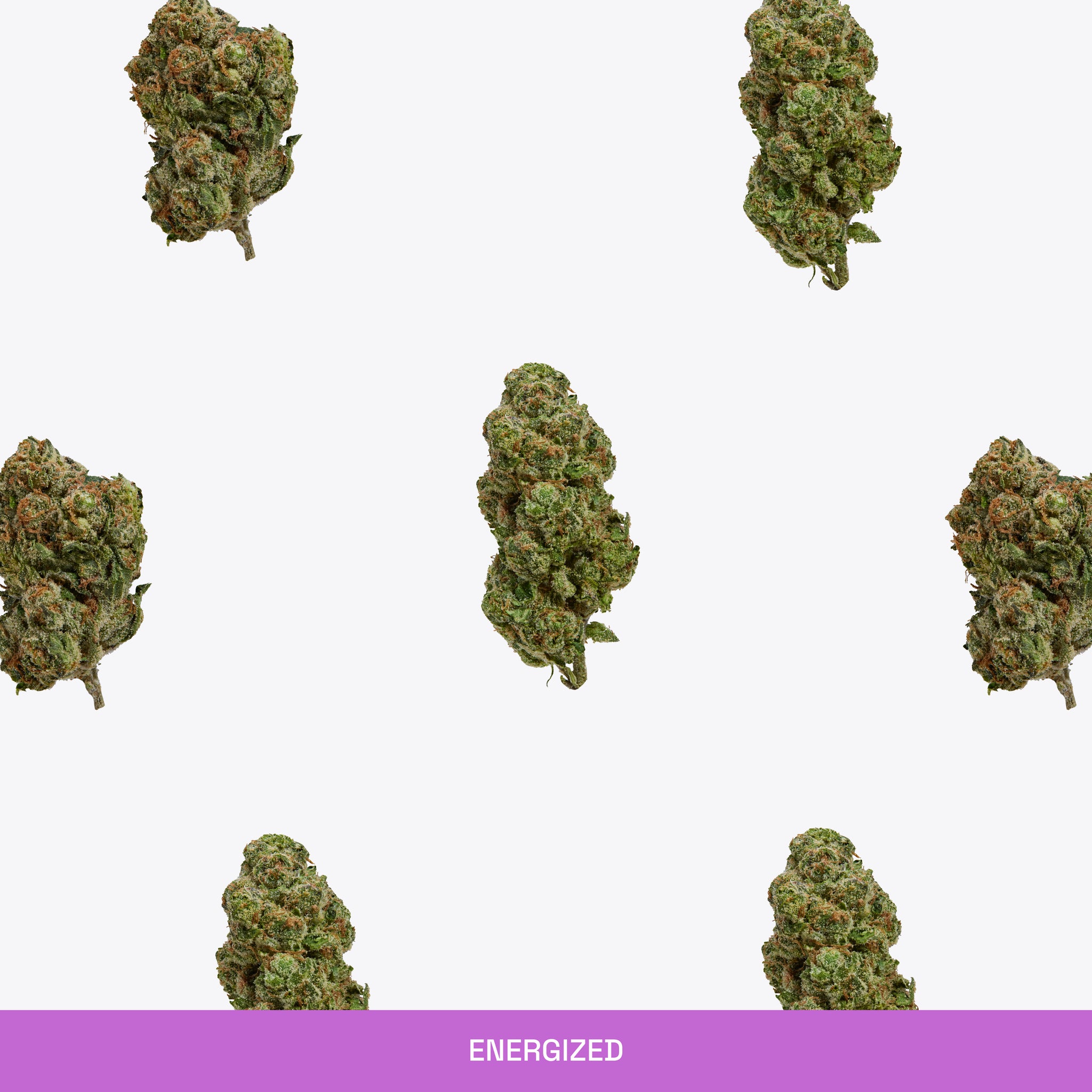 Coast Indoor-Grown THCA Flower - Sativa